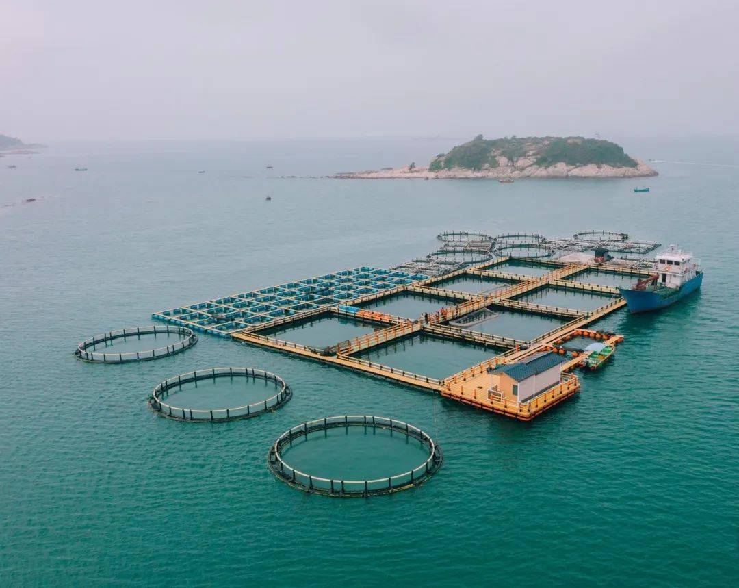 The incident of net damage in Mowi’s deep sea ranch