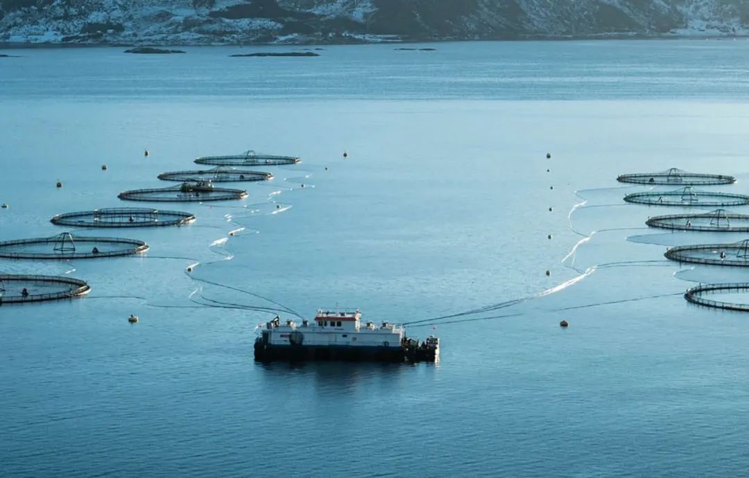 The Marine Aquaculture Research Act: A New Chapter for U.S. Offshore Fish Farming