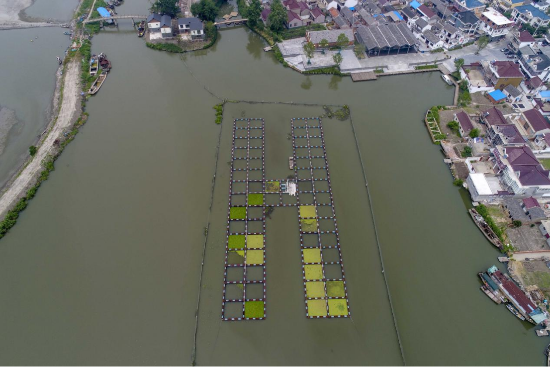 Challenges Facing Mariculture at Home and Abroad in Recent Years  